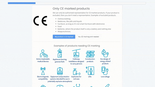 Authorised Representative Service Process